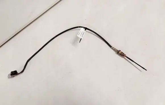 Renault Clio IV Exhaust gas temperature sensor 22640632R