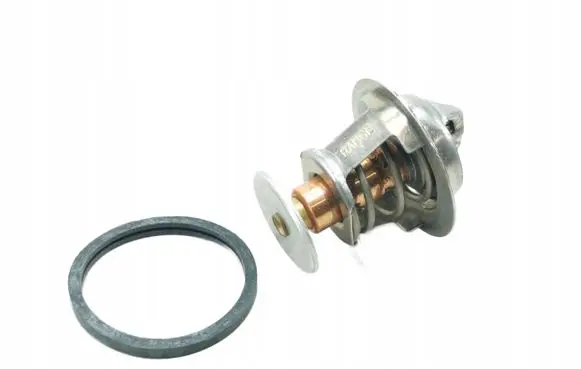 Citroen Saxo Thermostat/thermostat housing 819897