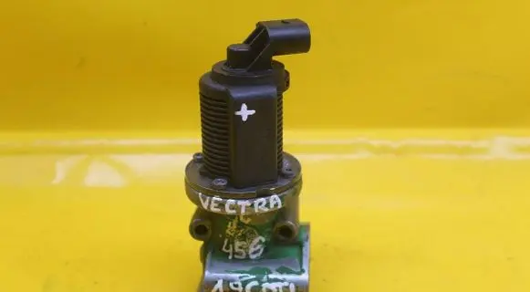 Opel Vectra C EGR valve 55215031
