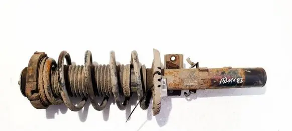 Skoda Roomster (5J) Front shock absorber/damper 