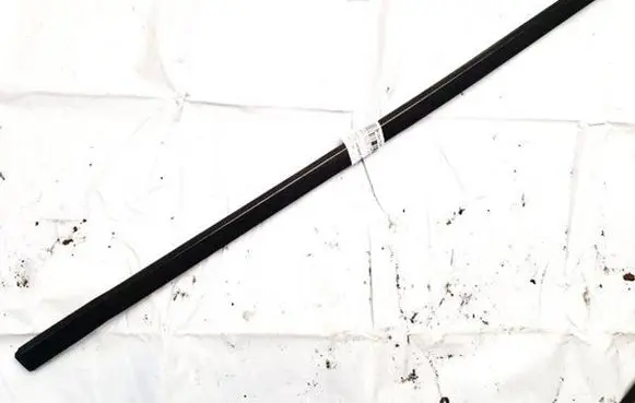 Ford S-MAX Front door glass trim molding 