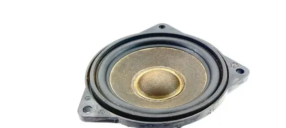 BMW 5 F10 F11 Panel speaker 9169689