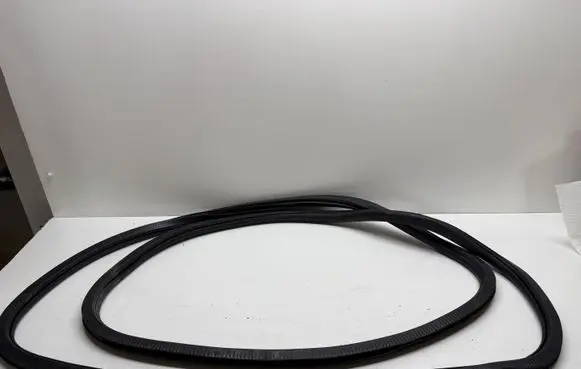 Chrysler Pacifica Rubber seal rear door