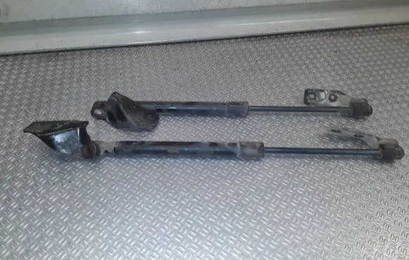 Nissan Pixo Tailgate/trunk strut/damper 
