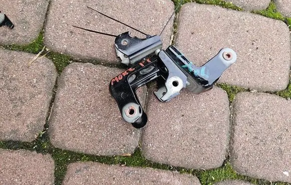 Opel Mokka B Front door lower hinge 5O5P5L5E5X1742