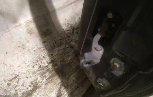 Renault Laguna III Rear door check strap stopper 