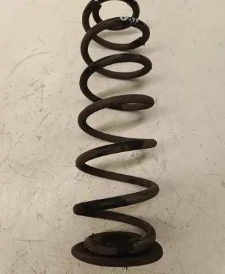 Rear coil spring