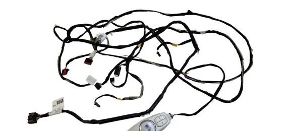 Ford Edge II Other wiring loom M2GT14335 M2GT14335AAD EAY0D