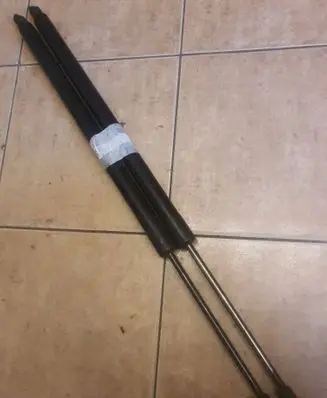 Tailgate/trunk strut/damper