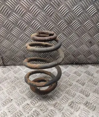 Rear coil spring