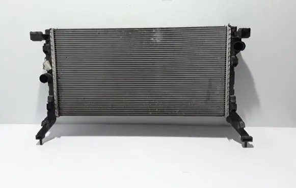 Renault Laguna III Coolant radiator 214100005R
