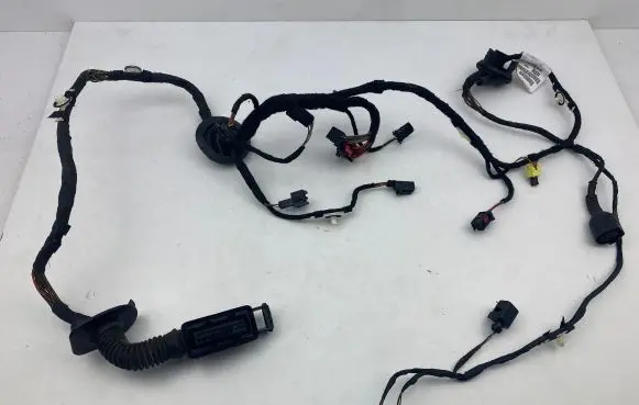 Front door wiring loom