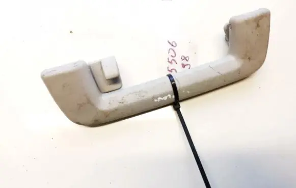 Ford Focus Rear interior roof grab handle