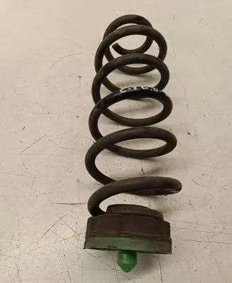 Rear coil spring