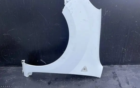 Renault Kangoo II Fender