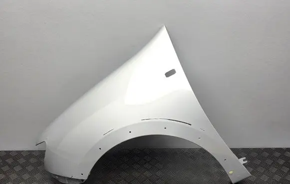Dacia Sandero II Fender 631019621 631019621R