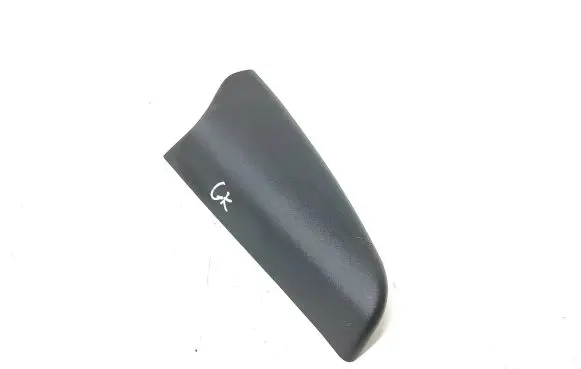 Other rear door trim element