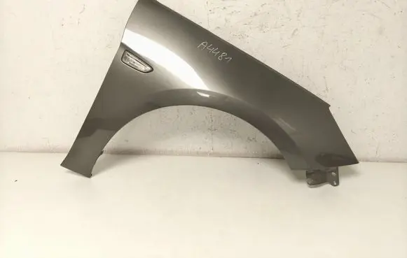 Fender