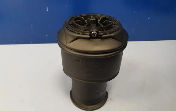 Citroen C4 Grand Picasso Rear air suspension bag/shock absorber 9681946080 F307512401 31901006042701