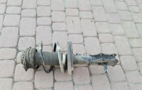 Opel Insignia B Rear shock absorber with coil spring 84155695