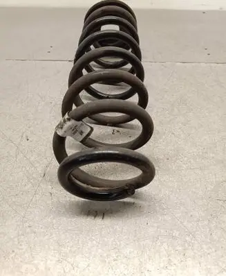 Rear coil spring