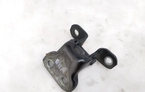 Skoda Octavia Mk3 (5E) Front door lower hinge 