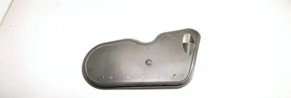 Other rear door trim element