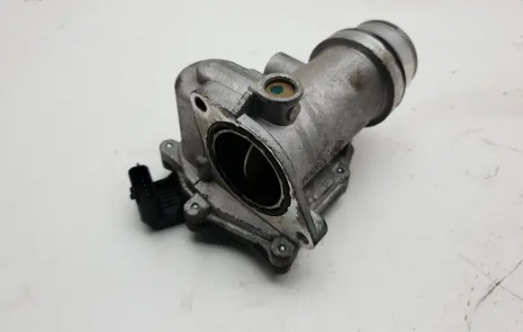 Renault Megane III Throttle valve 161A09794R 240419353
