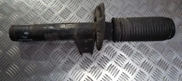 Volkswagen Golf V Front shock absorber/damper 1t0413031dn