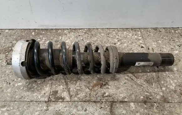 BMW X5 E70 Front shock absorber with coil spring 31316781920