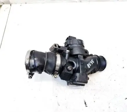 Citroen C3 Picasso Throttle valve 9060030380 25365284