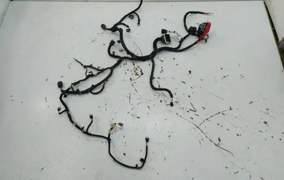 Engine installation wiring loom