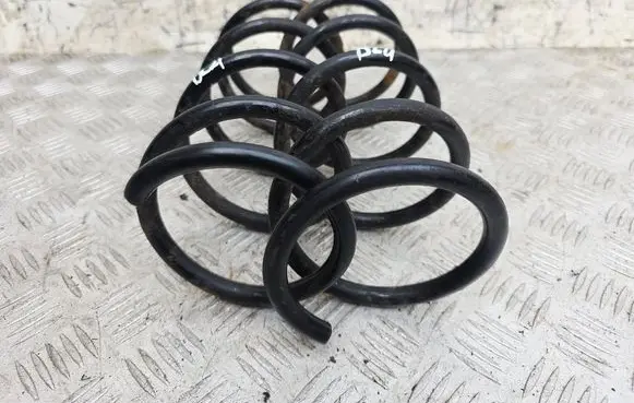 Rear coil spring