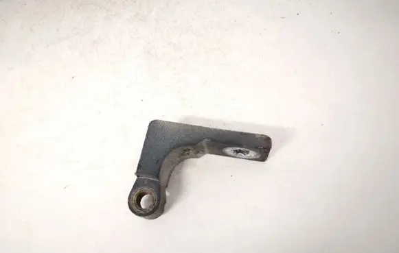 Fiat Stilo Rear door lower hinge