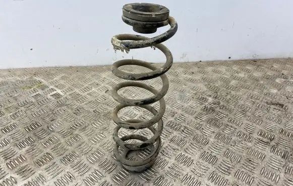 Volkswagen Golf IV Rear coil spring