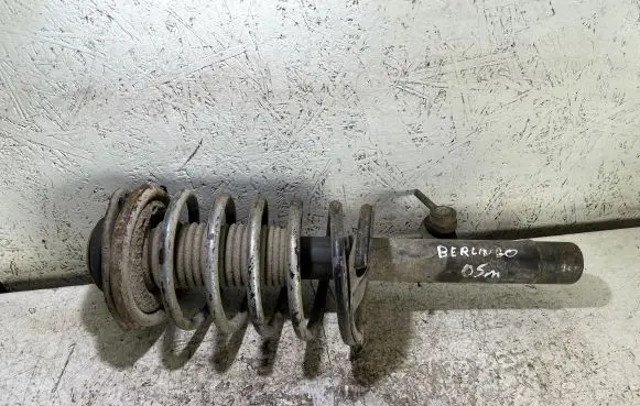 Citroen Berlingo Front shock absorber/damper