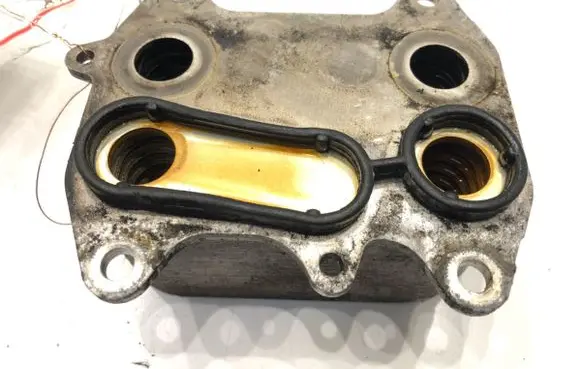 Volkswagen PASSAT B7 Engine oil radiator 03L117021C