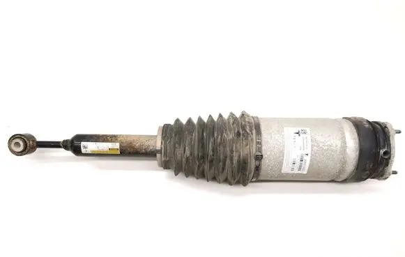 Tesla Model X Rear shock absorber with coil spring 1027461-00-G