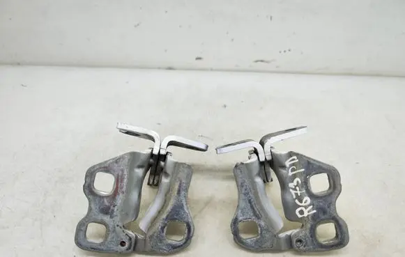 Tesla Model 3 Front door hinge set 