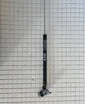 Tailgate/trunk strut/damper
