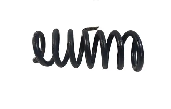 Rear coil spring