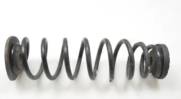 Rear coil spring
