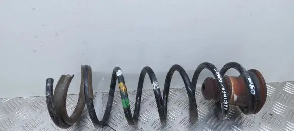 Rear coil spring