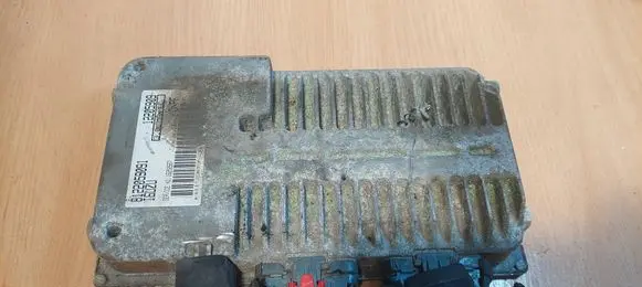 Engine control unit/module ECU