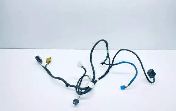 Mercedes-Benz CL C216 Front door wiring loom A2165406207