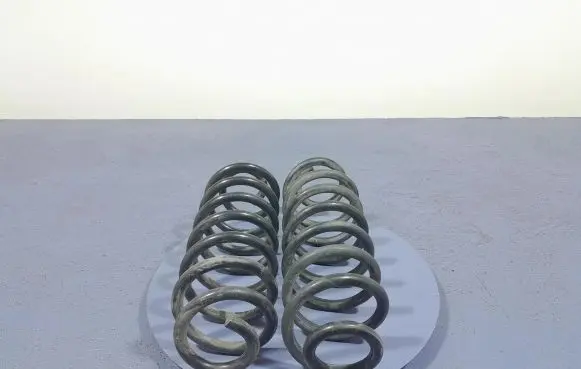 Toyota Camry VIII XV70 Rear coil spring
