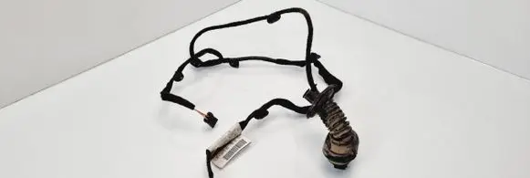 Peugeot 207 CC Rear door wiring loom 9663687580