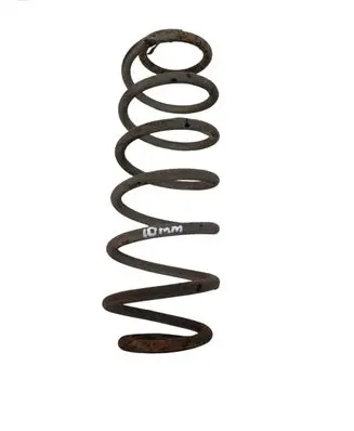 Rear coil spring