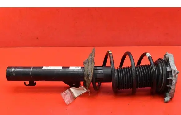 Volkswagen ID.3 Front shock absorber/damper 10A400035