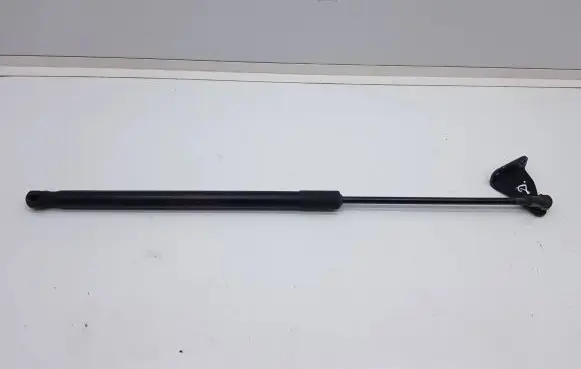 Tailgate/trunk strut/damper